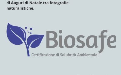 Affacciarsi al mondo con Biosafe®: a Mantova la presentazione della finestra certificata!