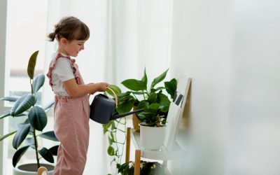 Qualità dell’aria domestica e inquinamento indoor